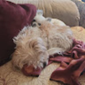 Meet your Posher, Julie